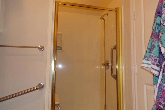 bathroom featuring a shower with door