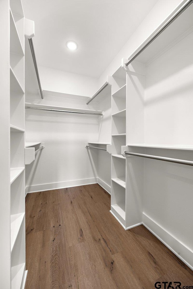 spacious closet featuring dark hardwood / wood-style floors