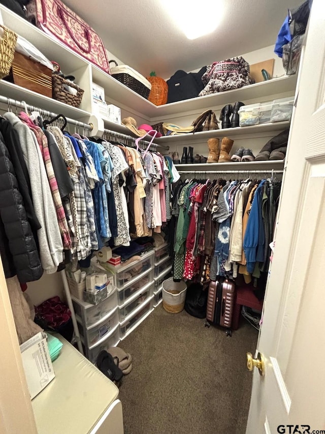 18378 Whipporwill Ln, Flint, TX 75762 - spacious closet featuring carpet floors