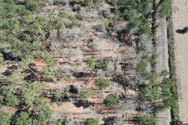 TBD-C County Road 3198, Mount Enterprise, TX 75681