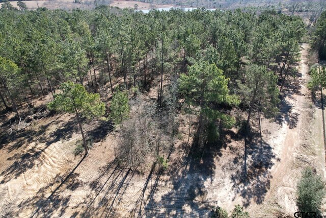 TBD-C County Road 3198, Mount Enterprise, TX 75681