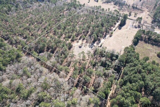TBD-C County Road 3198, Mount Enterprise, TX 75681