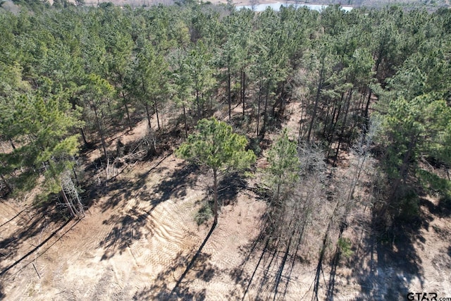 TBD-C County Road 3198, Mount Enterprise, TX 75681