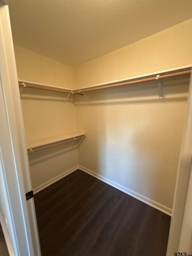 spacious closet with dark hardwood / wood-style floors