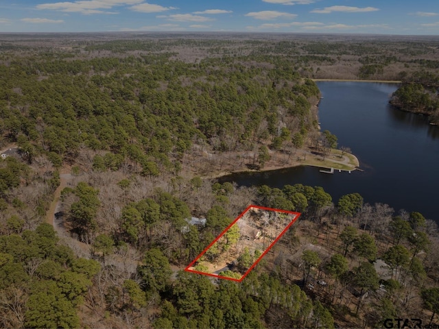 birds eye view of property featuring a view of trees and a water view