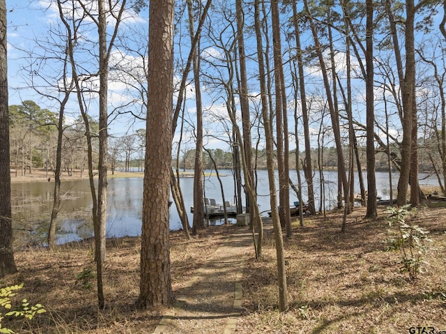 water view featuring a boat dock