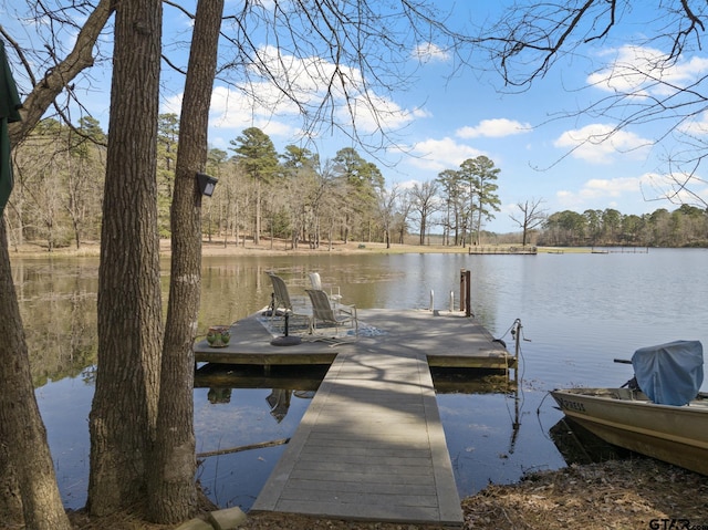 dock area featuring a water view