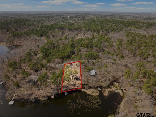 drone / aerial view featuring a forest view and a water view