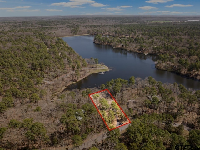 bird's eye view with a wooded view and a water view