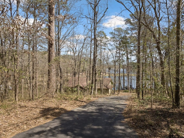 view of street featuring a forest view