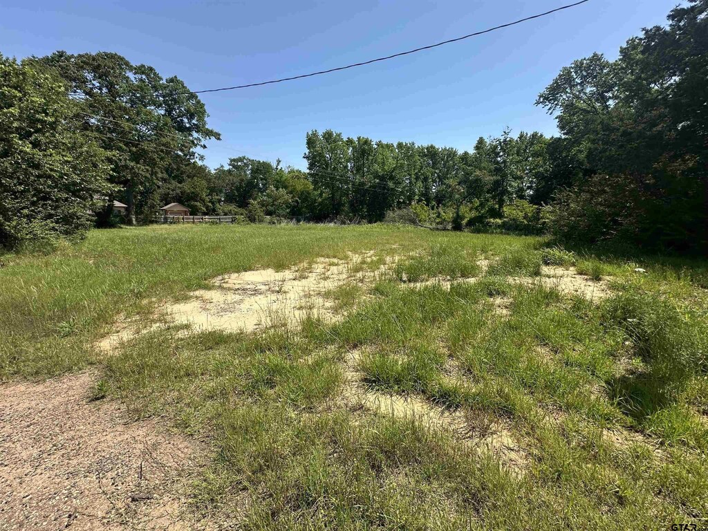 1021 Gilmer St, Winnsboro, TX 75494 - photo 1