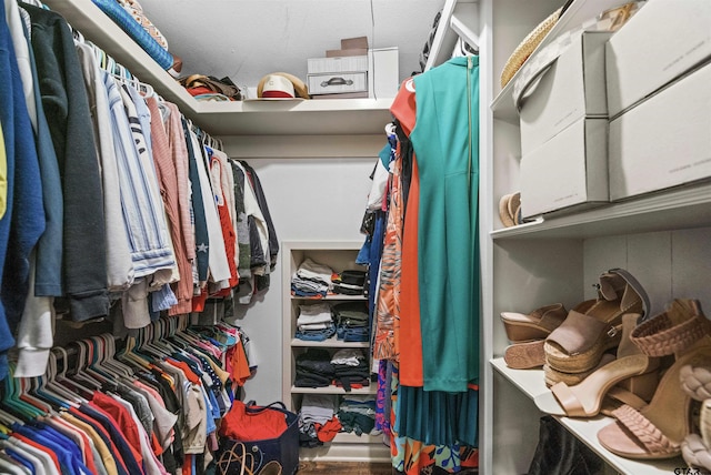 view of walk in closet