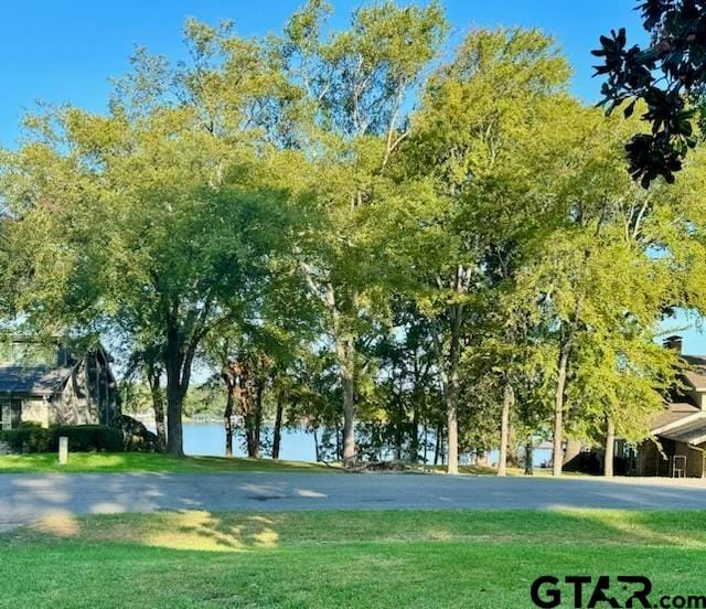 surrounding community featuring a lawn and a water view