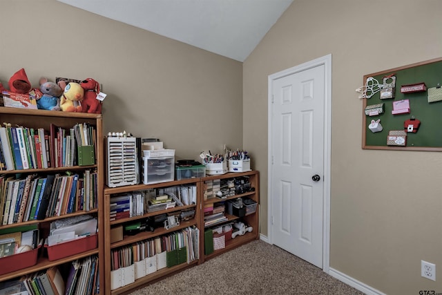 miscellaneous room featuring carpet flooring and lofted ceiling