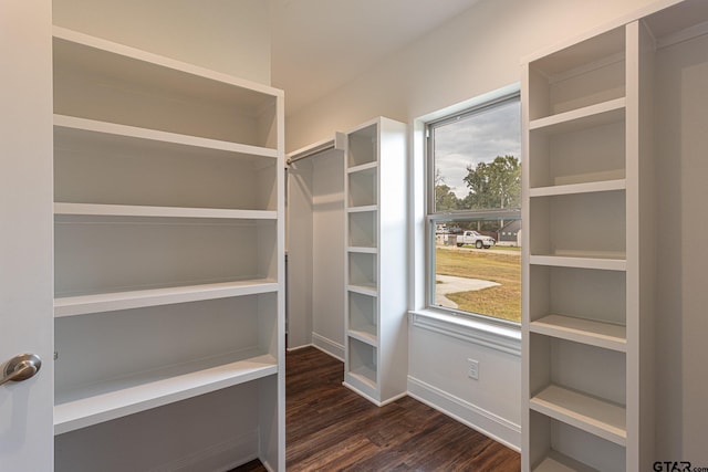 spacious closet with dark wood-type flooring