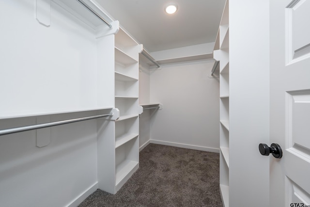 spacious closet with dark colored carpet