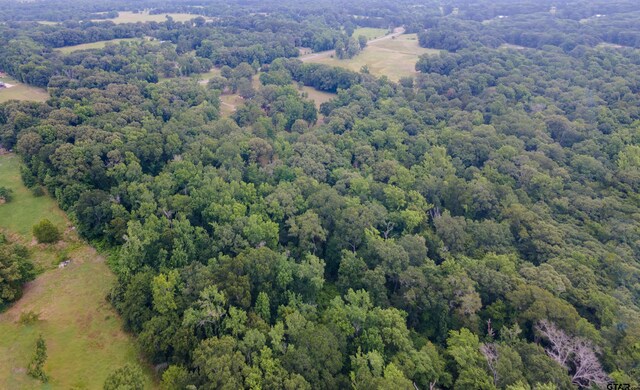 2206 E State Highway 154, Quitman, TX 75783 - photo 5
