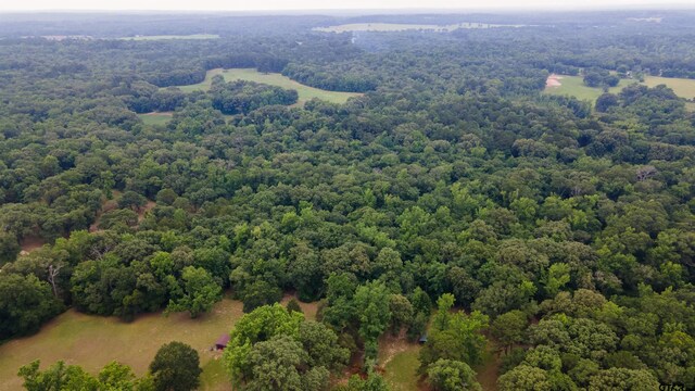 2206 E State Highway 154, Quitman, TX 75783 - photo 6