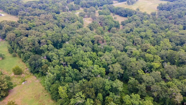 2206 E State Highway 154, Quitman, TX 75783 - photo 4
