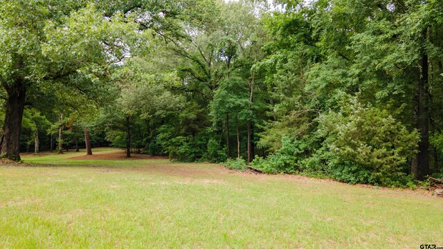 2206 E State Highway 154, Quitman, TX 75783 - photo 8