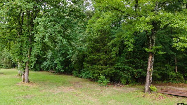 2206 E State Highway 154, Quitman, TX 75783 - photo 7
