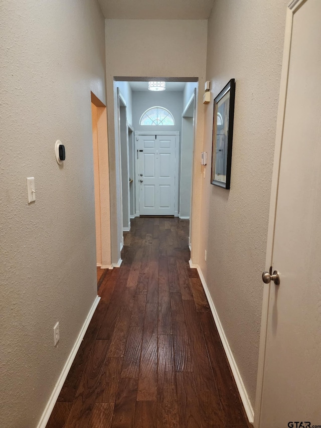 670 Frederick Cir, Flint, TX 75762 - hallway with dark wood finished floors and a textured wall
