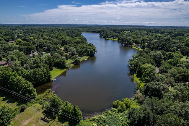 1169 County Road 2425, Mineola, TX 75773 - photo 37