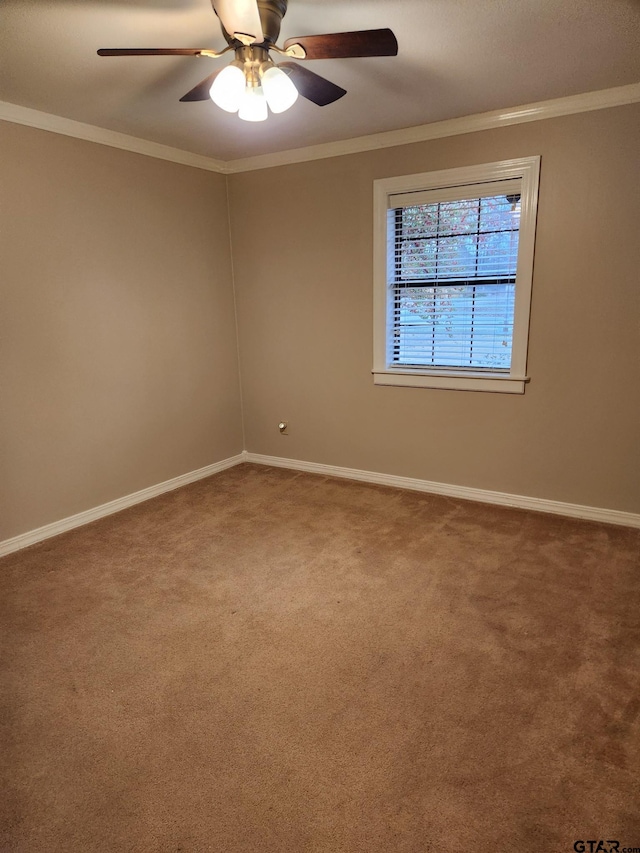 carpeted spare room featuring crown molding and ceiling fan