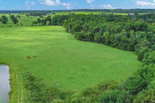 100/-ACRES Fm 773, Grand Saline, TX 75140 - photo 10