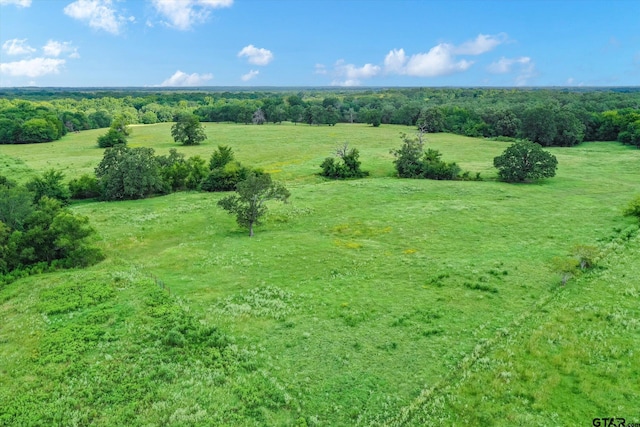 100/-ACRES Fm 773, Grand Saline, TX 75140 - photo 15