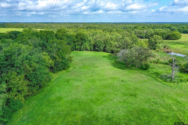 100/-ACRES Fm 773, Grand Saline, TX 75140 - photo 30