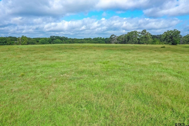 100/-ACRES Fm 773, Grand Saline, TX 75140 - photo 29
