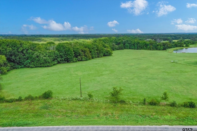 100/-ACRES Fm 773, Grand Saline, TX 75140 - photo 4