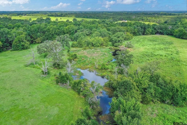 100/-ACRES Fm 773, Grand Saline, TX 75140 - photo 13