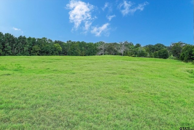 100/-ACRES Fm 773, Grand Saline, TX 75140 - photo 14