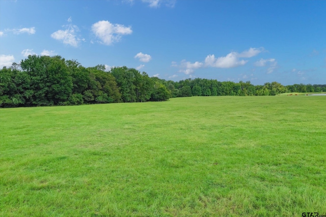 100/-ACRES Fm 773, Grand Saline, TX 75140 - photo 8