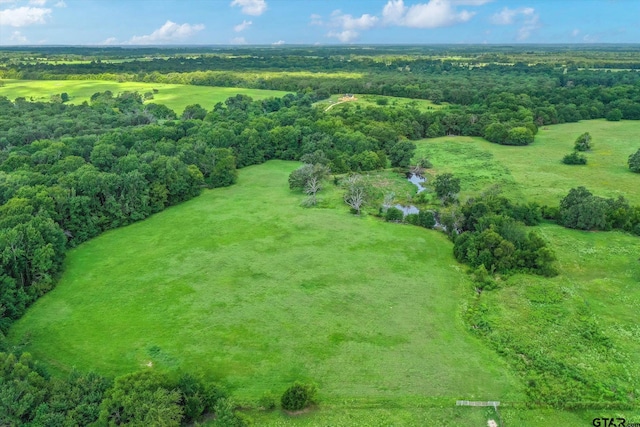 100/-ACRES Fm 773, Grand Saline, TX 75140 - photo 11