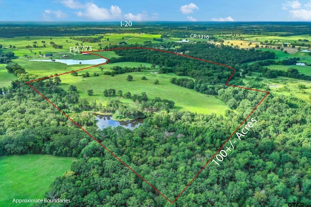 100/-ACRES Fm 773, Grand Saline, TX 75140 - photo 2