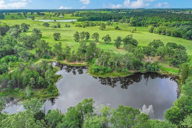 100/-ACRES Fm 773, Grand Saline, TX 75140 - photo 25