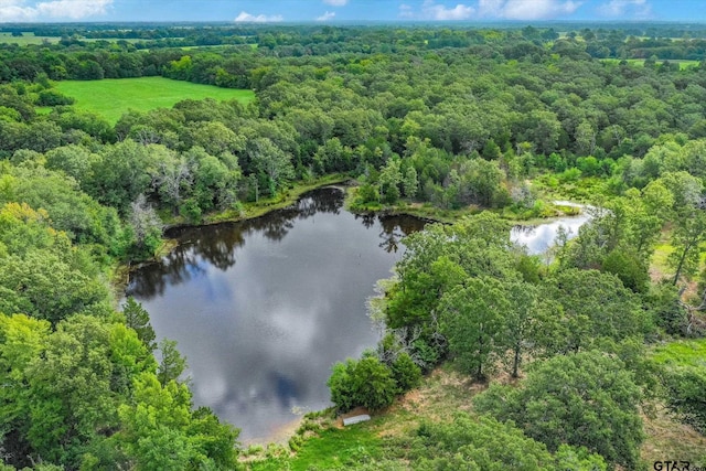 100/-ACRES Fm 773, Grand Saline, TX 75140 - photo 22