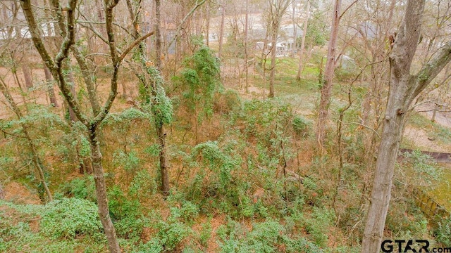 view of local wilderness