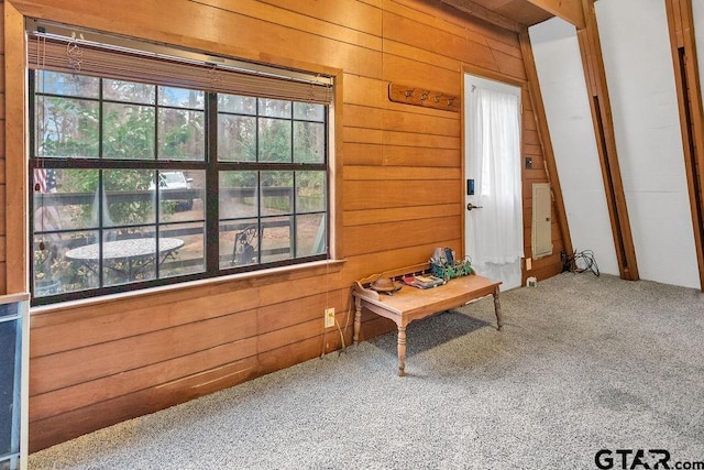 interior space with a healthy amount of sunlight, wooden walls, and carpet floors