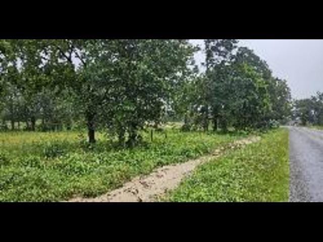 Listing photo 3 for TBDLOT4B County Road 219, Tyler TX 75707