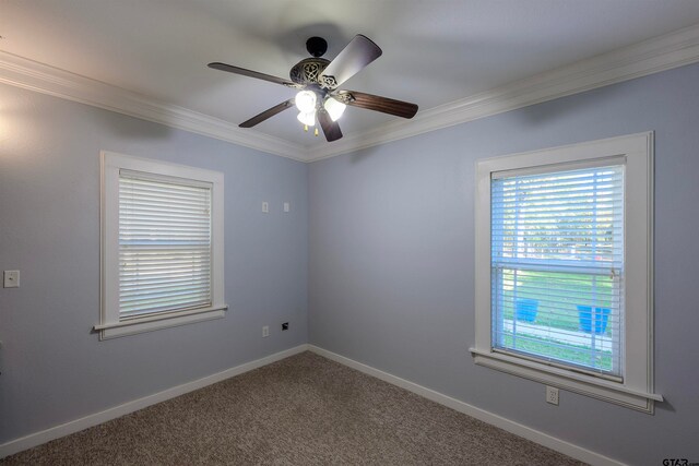 empty room with ornamental molding, carpet, and ceiling fan