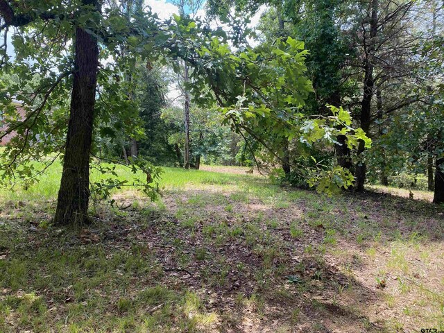 128 Lake Lou Ella Dr, Bullard, TX 75757 - photo 6