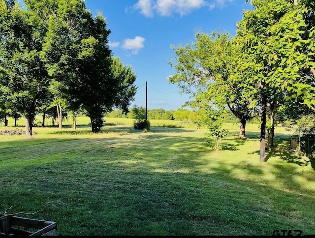 11323 Fm 773, Ben Wheeler, TX 75754 - photo 11