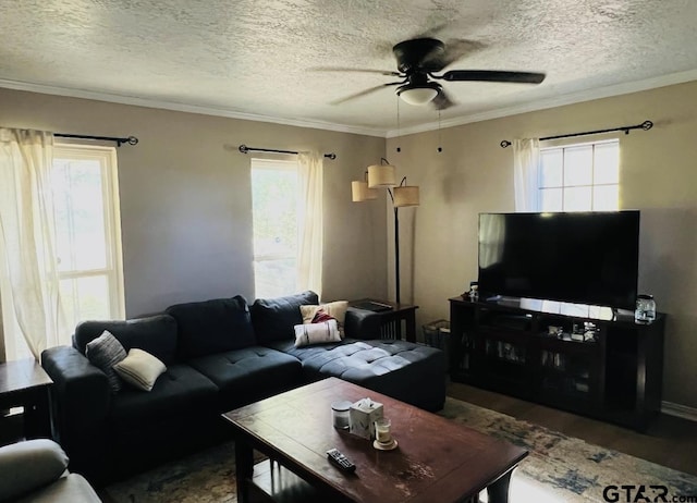 11323 Fm 773, Ben Wheeler, TX 75754 - photo 4