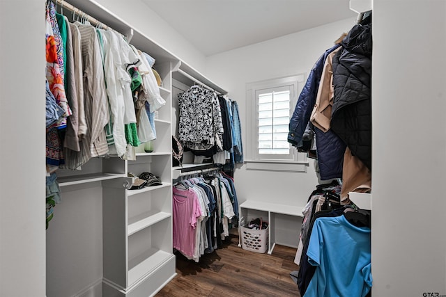 spacious closet featuring dark wood-style flooring
