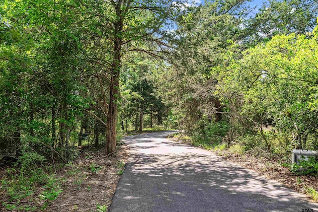 view of street with a forest view