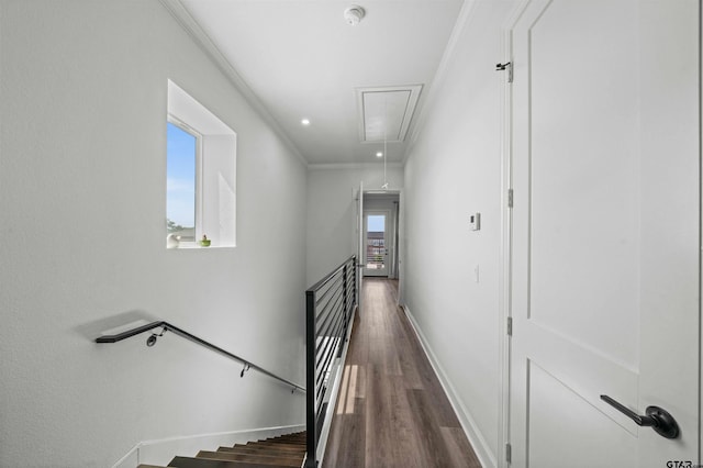 hall featuring dark hardwood / wood-style flooring and ornamental molding